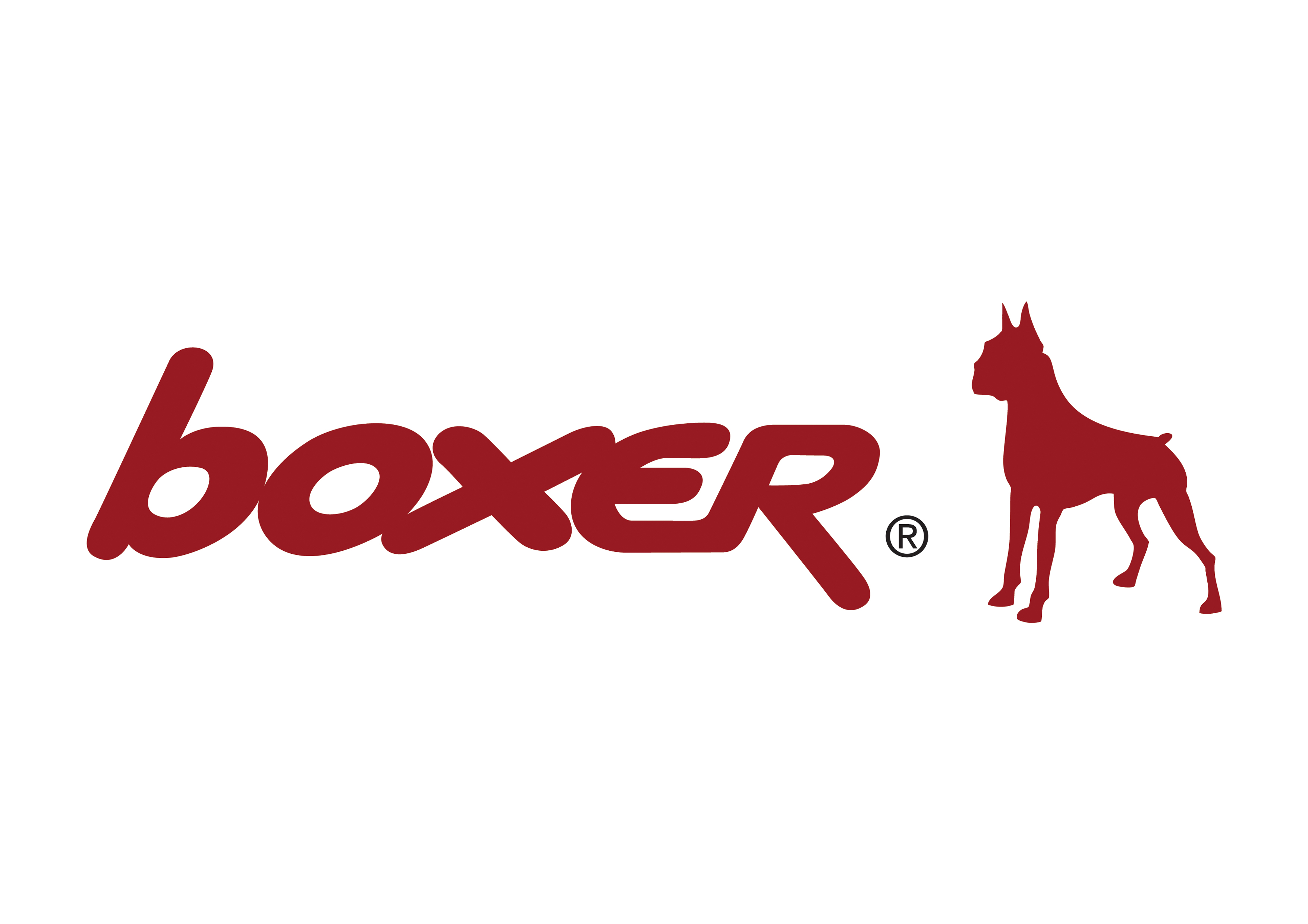 boxer